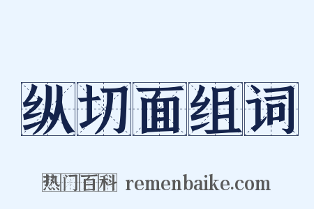 纵切面组词是什么意思的图片